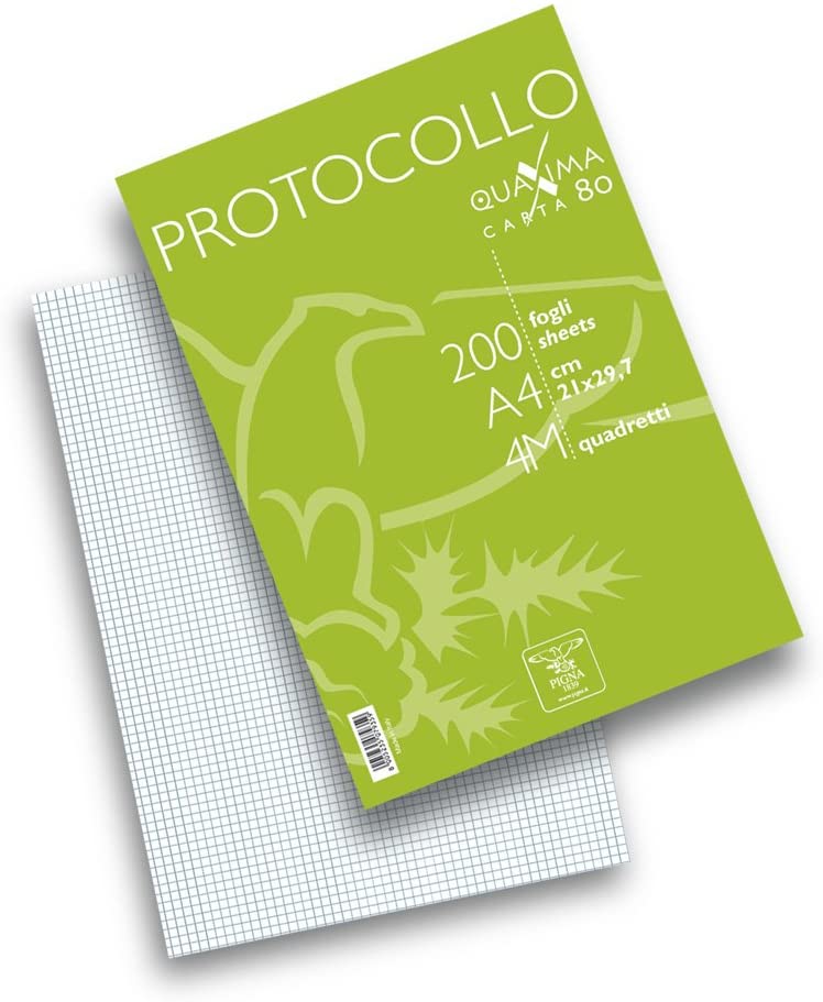 CARTA PROTOCOLLO A4 fg.200 4MM GR.80 PIGNA
