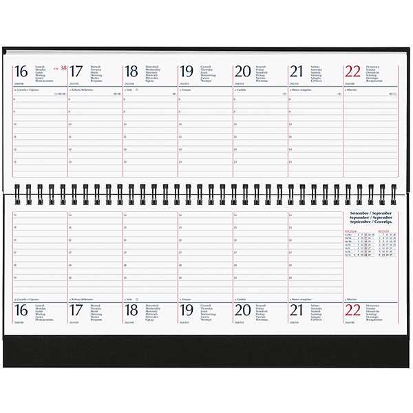 AGENDA SETTIMANALE PLANNING 2025 cm.11x30